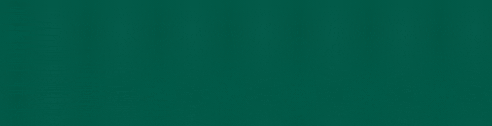 spot_img